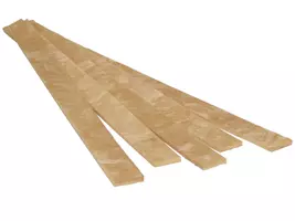 Akustic ES 1